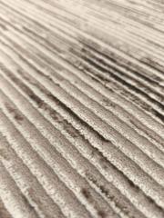 capella e6618 vizon 2